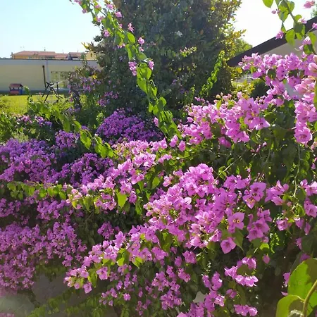 La Bouganville 3* Camaiore