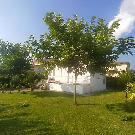 Frühstückspension La Bouganville Camaiore