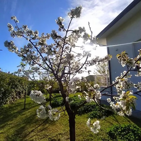Frühstückspension La Bouganville Camaiore